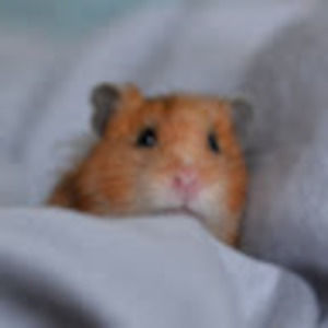 Meet your Posher, Alicia